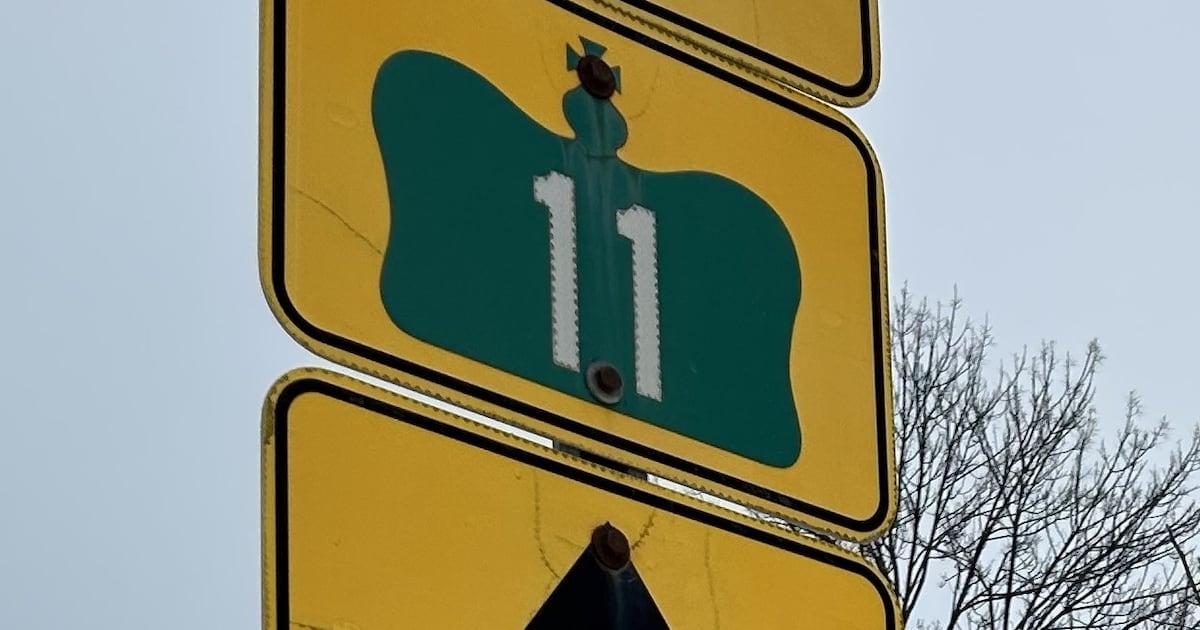 Toronto driver charged after driving in opposite direction on Highway 11 in Muskoka: OPP