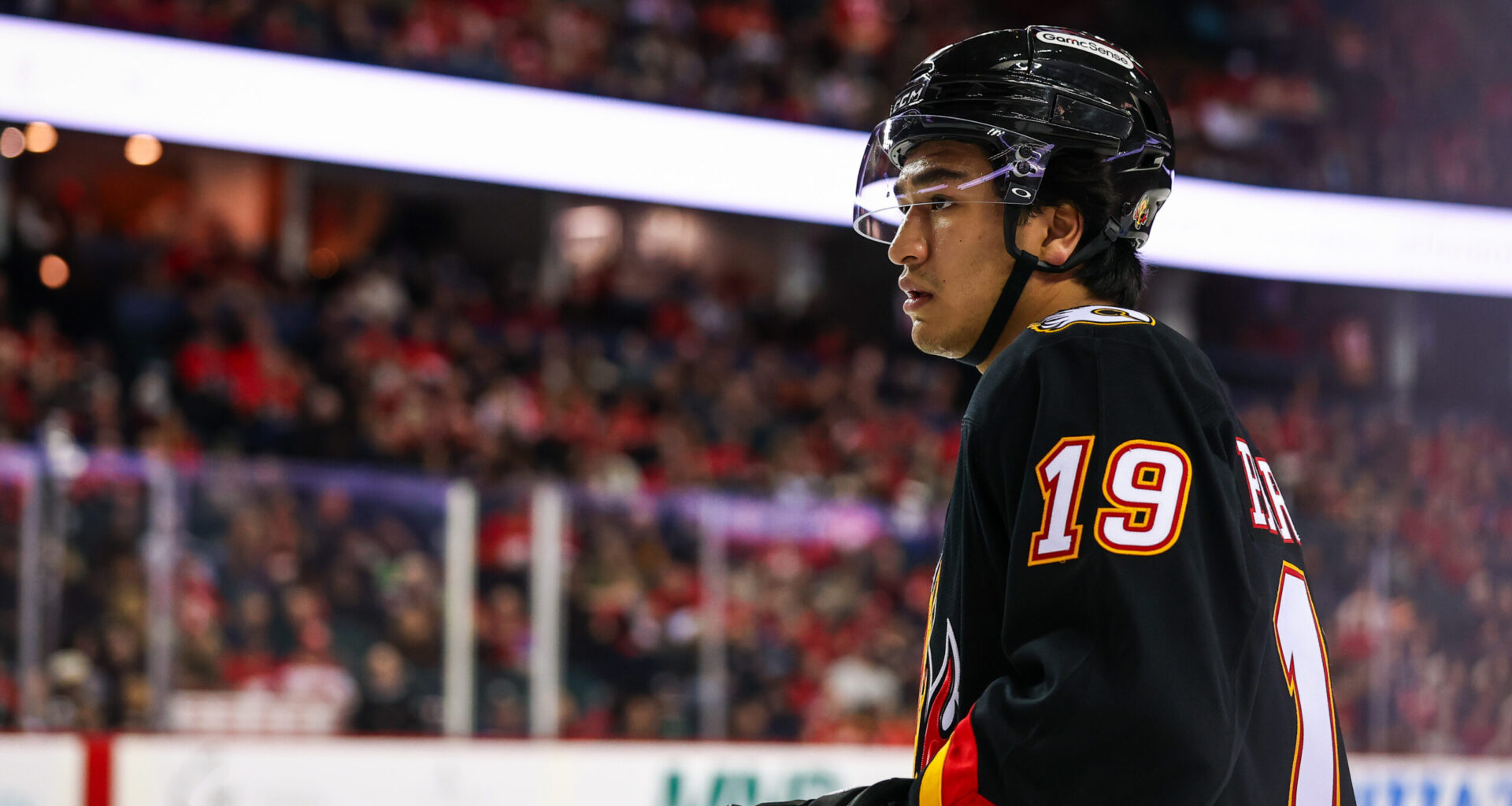 Top 10 Late Season Rookies – DobberHockey