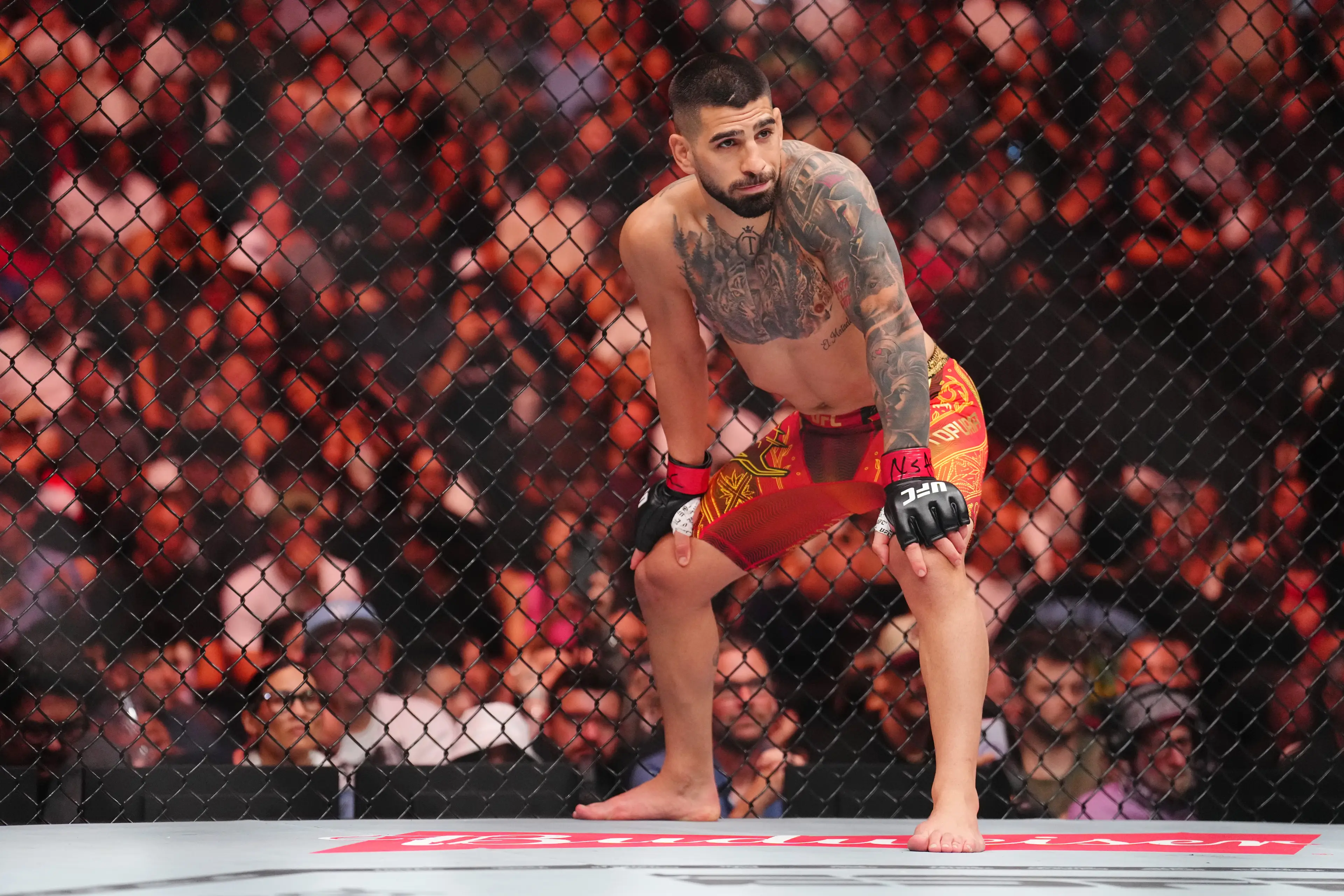 Ilia Topuria will defend his undisputed UFC lightweight title against Justin Gaethje at the White House. Image: Getty 