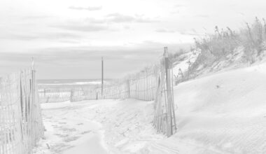 The $10M Star Clark Didn't Replace