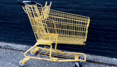 Brampton to fine retailers $100 for abandoned shopping carts