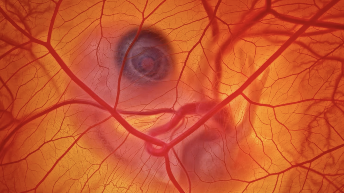 How Do You Photograph a Chicken Inside an Egg?