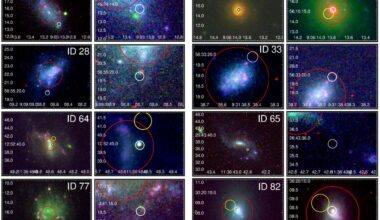 🔭 Eight wandering black holes spotted