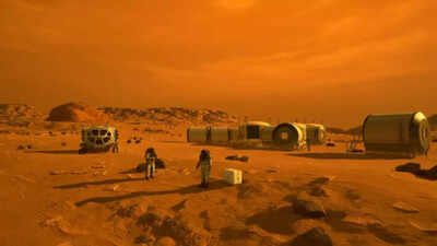 Are there insects and reptiles on Mars? What the research actually says