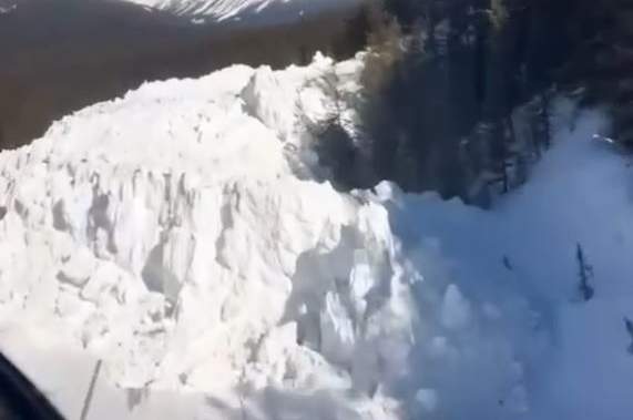 Massive avalanche closes Alberta’s Icefields Parkway until at least Saturday