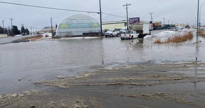 ‘Passing the buck’: Edmonton business deals with decades-long drainage problem - Edmonton