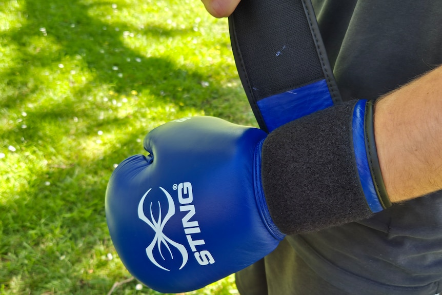 A close up image of someone putting on a pair of blue boxing gloves.