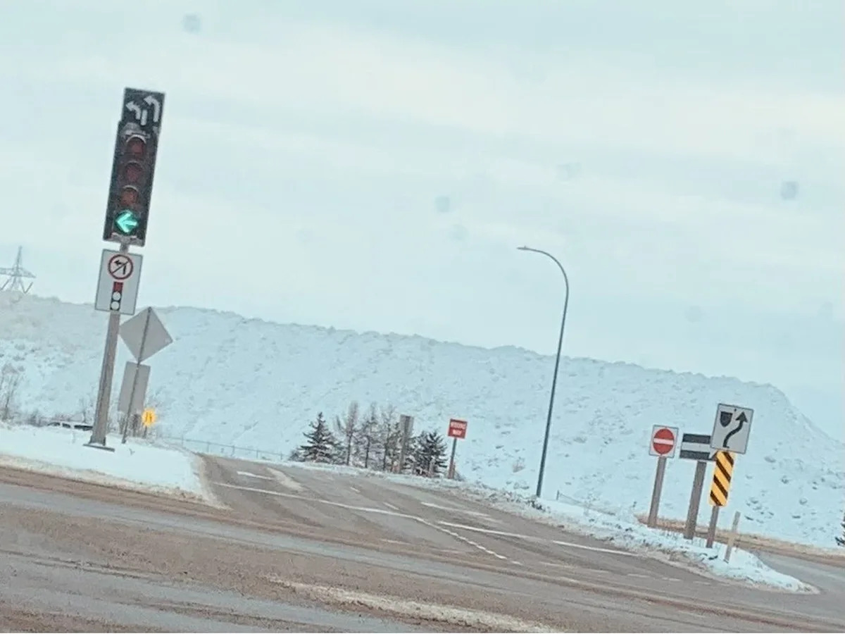 Edmonton may charge private sector for dumping snow