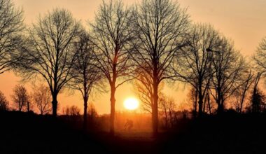 A man rides his bike through an alley in the outskirts of Frankfurt, Germany, as the sun rises on Friday, April 4, 2025. THE CANADIAN PRESS/AP, Michael Probst