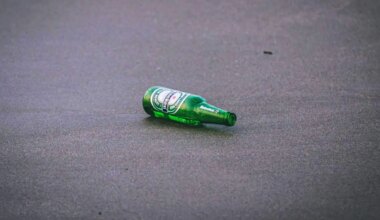 beer brampton store LCBO