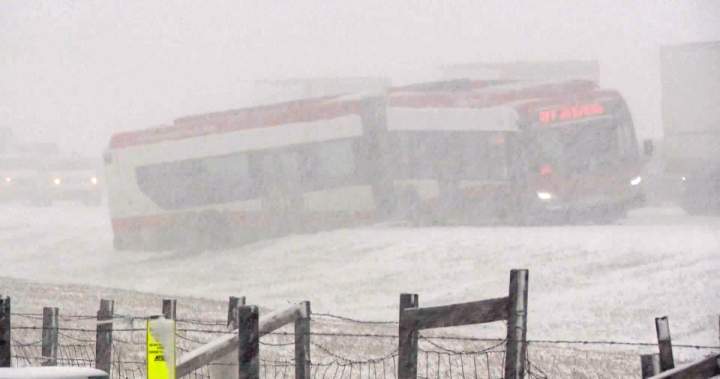 Calgary hit by unexpected blast of spring snow, causing dozens of crashes
