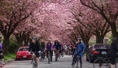 Bike the Blossoms (photo: Linda Poole)