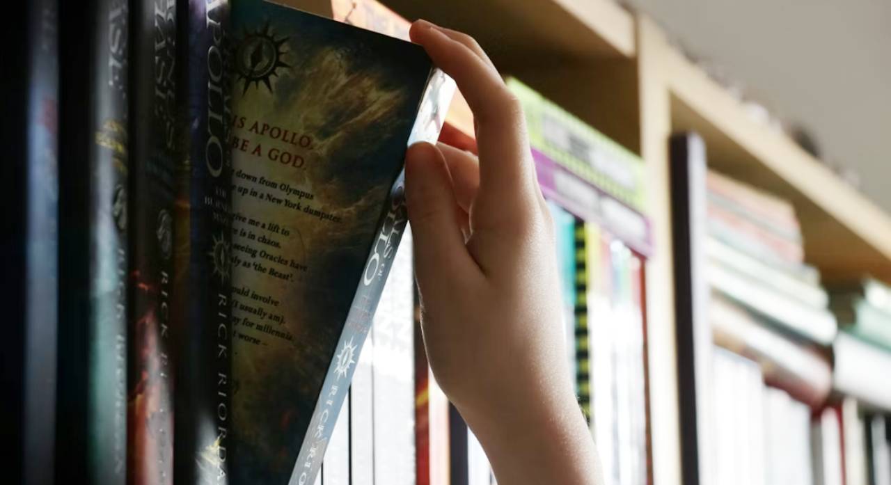 library brampton feletcher's book