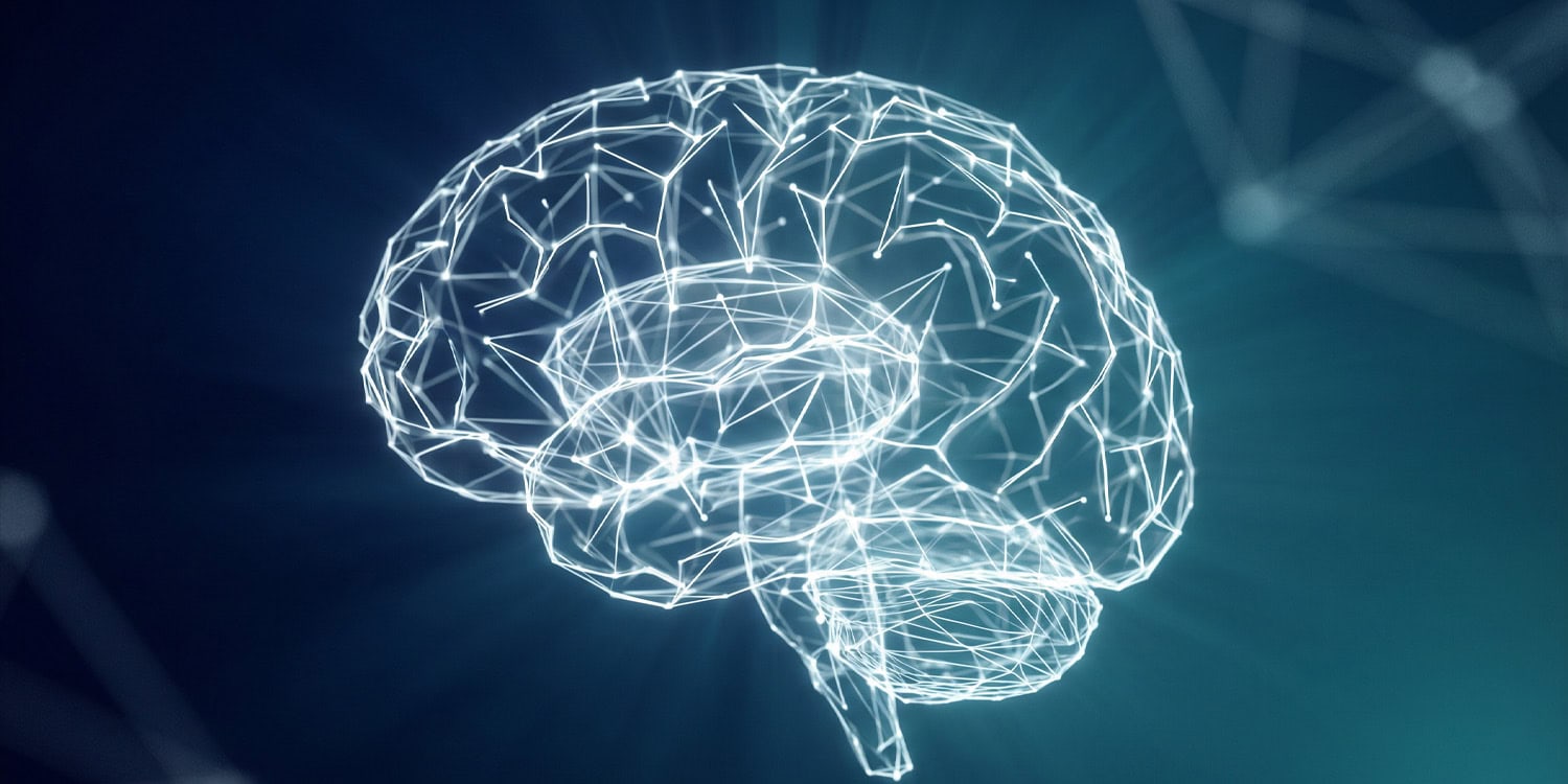 Swapping animal fats for vegetable oils is linked to a lower risk of dementia