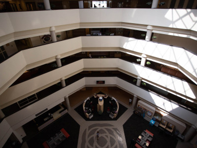 Brampton studying AI for City business; residents in the dark about costs, privacy & discrimination concerns