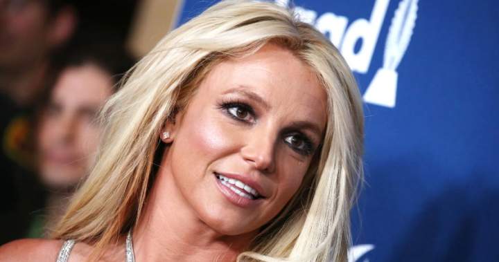 Britney Spears arrested on suspicion of DUI in California - National