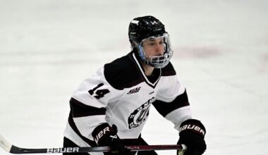Maple Leafs sign Union College forward Brandon Buhr to one-year deal