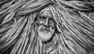 National & Regional Awards 2026 Winners & Shortlist