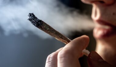 Long-term cannabis use could be linked to brain ‘thinning’