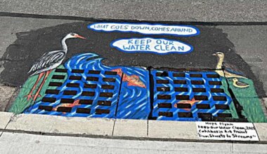 catchbasin sewer brampton art