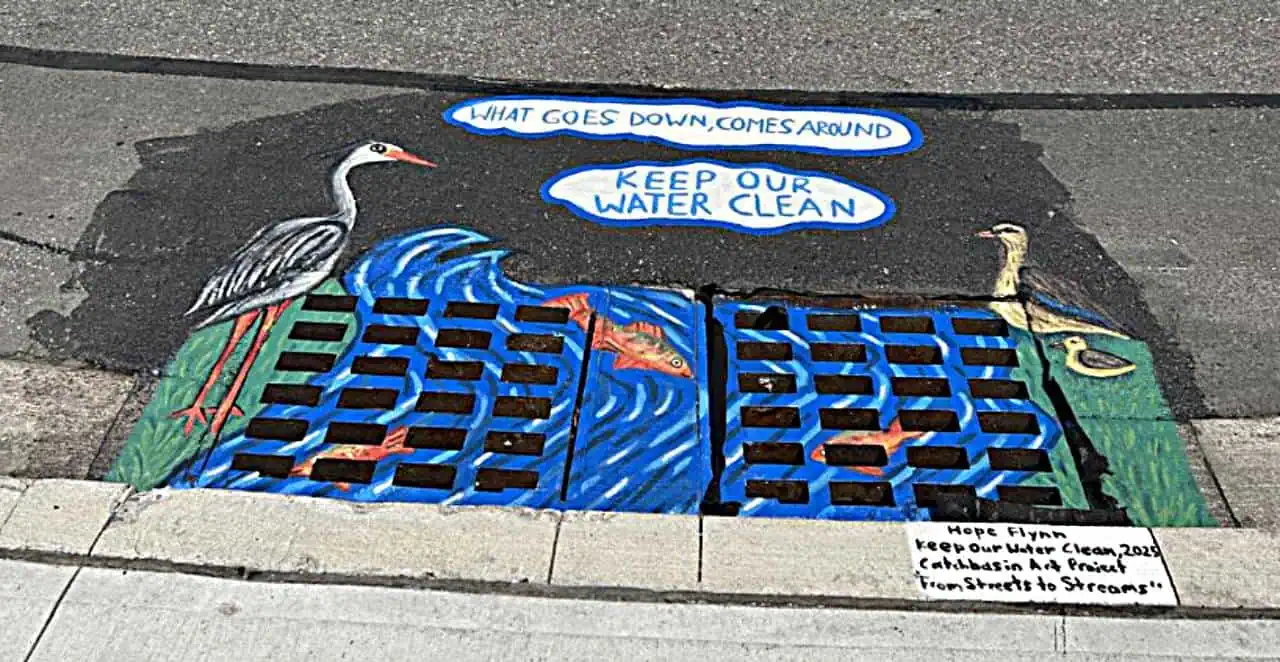 catchbasin sewer brampton art