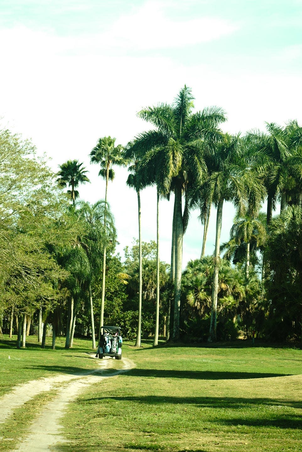 golf cart on a path surrounded by palm trees