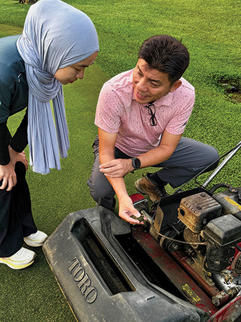 CCIV fertilizer granules