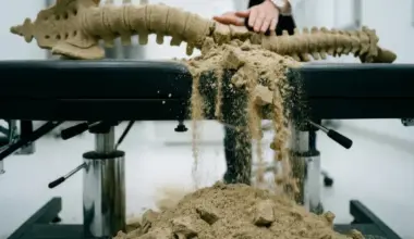 Confessions of a Former Chiropractor