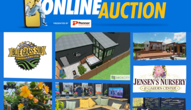 Home improvement and hardware deals featured in our online auction