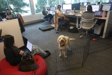 Jack Newton’s work desk sits among dozens on the third floor of Clio's dog-friendly headquarters in Burnaby, B.C. that is outfitted with a fitness centre and games rooms, all overlooking the North Shore mountains.