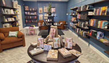bookstore with blue walls, dark bookshelves and large brown armchairs