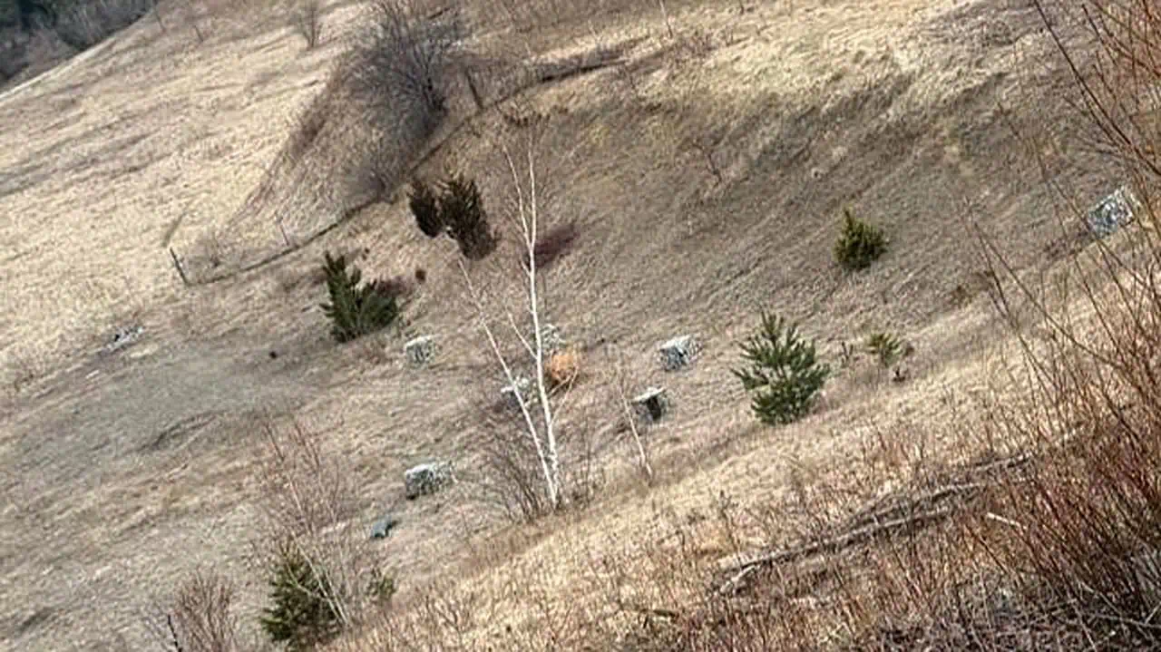 crash highway 403 hamilton