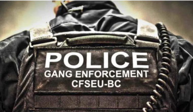 Three facing charges after multiple police stops in Maple Ridge, Surrey | Fraser Valley Today