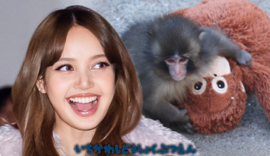 BLACKPINK's LISA Visits Punch the Monkey, Brings Orangutan Stuffed Animal