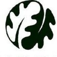 Surrey’s young people elect seven new Members of Youth Parliament 