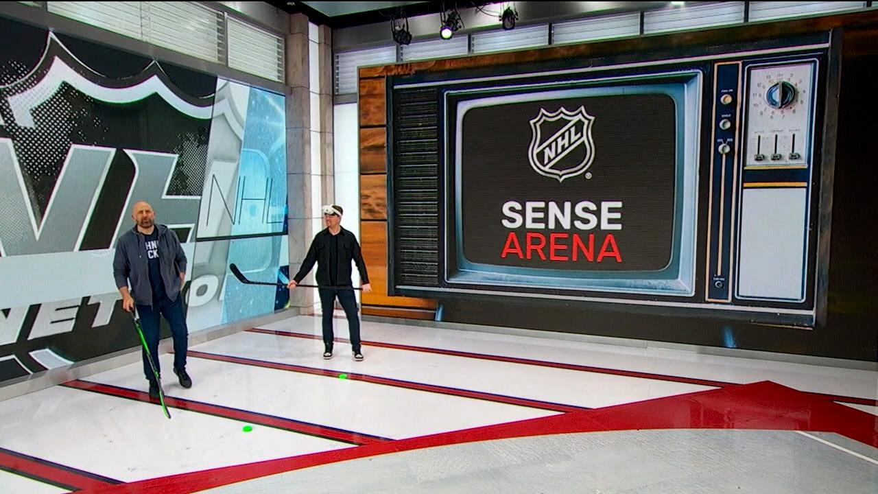 NHL Sense Arena: Puck Handling with your Head Up