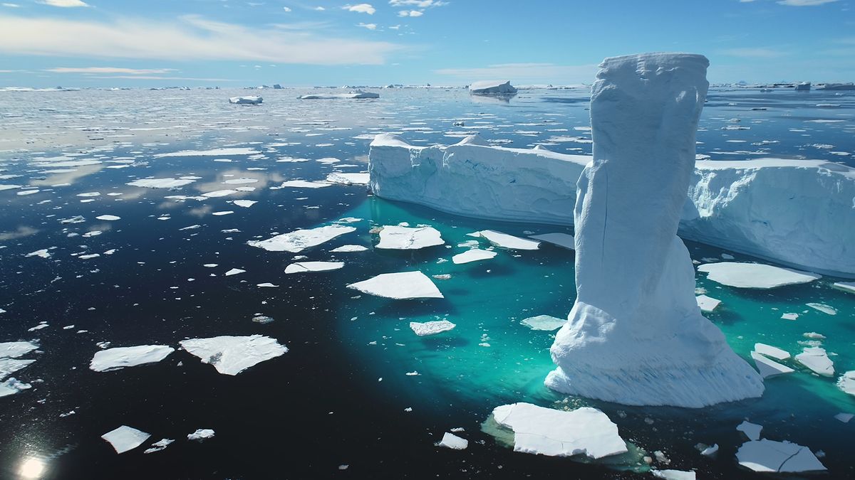 The Arctic Ocean and Why You Literally Can't Live Without It