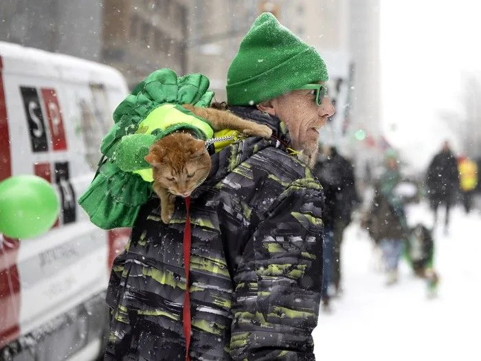 A member of the SPCA team brings a friend along for the St. Patrick’s Parade in Montreal on Sunday, March 22, 2026.