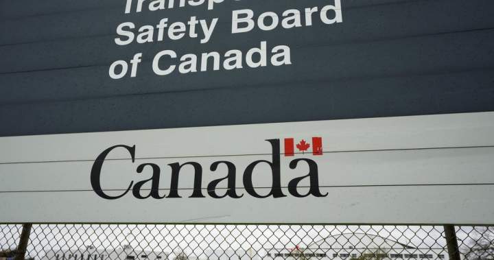 Helicopter crash kills 1 in southern New Brunswick, safety board en route - New Brunswick