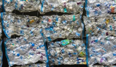 How we turned plastic waste into vinegar: A sunlight-powered breakthrough