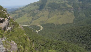 projects show how fighting climate change can create rural jobs – research