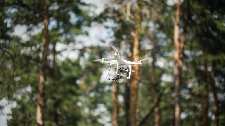 white drone flying in a forest