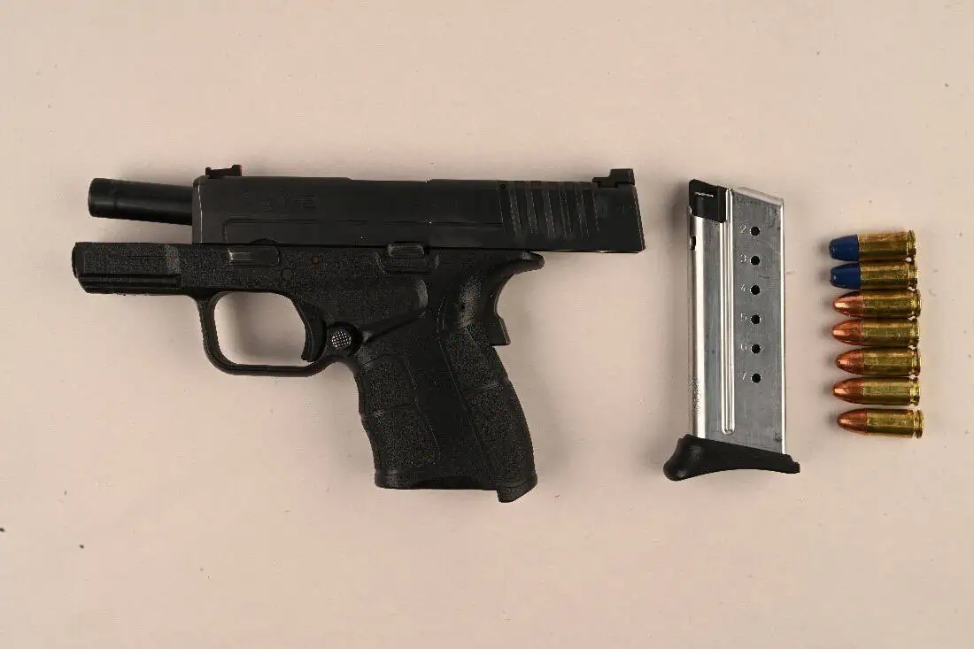 gun seized in mississauga traffic stop.