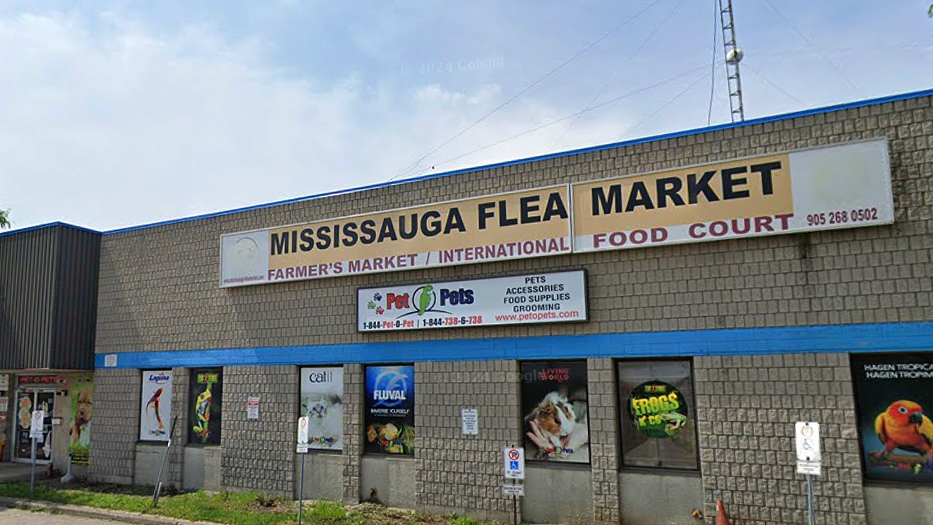 flea market attack mississauga