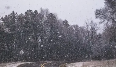 March 12 weather: Flurries and gusts up to 60 km/h in southern Ontario