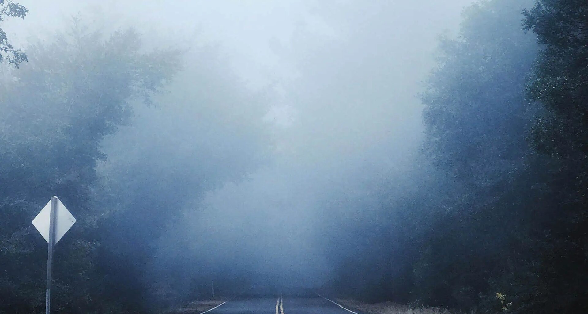 fog advisory ontario