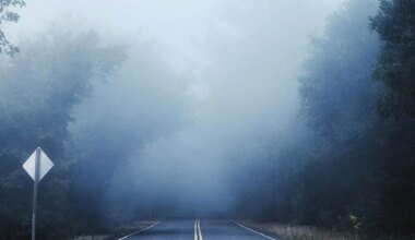 fog advisory ontario