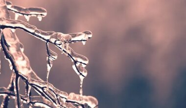 March 3 weather: Chance of snow and freezing rain in southern Ontario