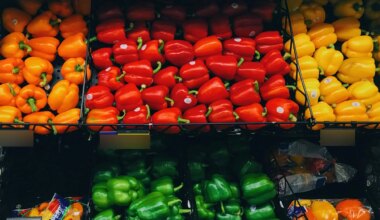 freshpro food mart mississauga