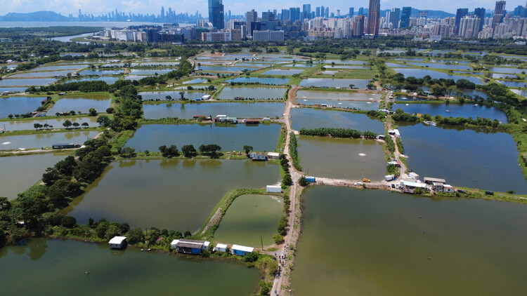 From Cloud to Coast: The Physical Cost of AI in Hong Kong’s Borderlands - Image 1 of 13